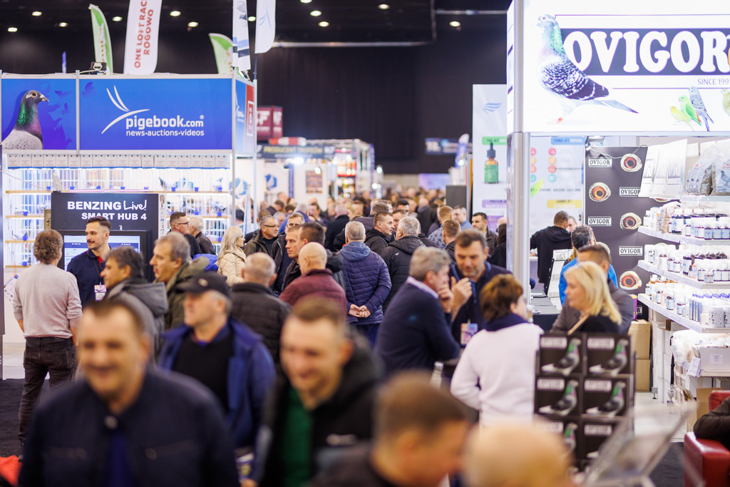 Rekordowe EXPOGołębie w Katowicach za nami!