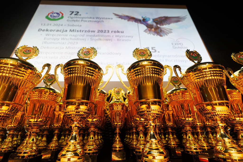 Rekordowe EXPOGołębie w Katowicach za nami!