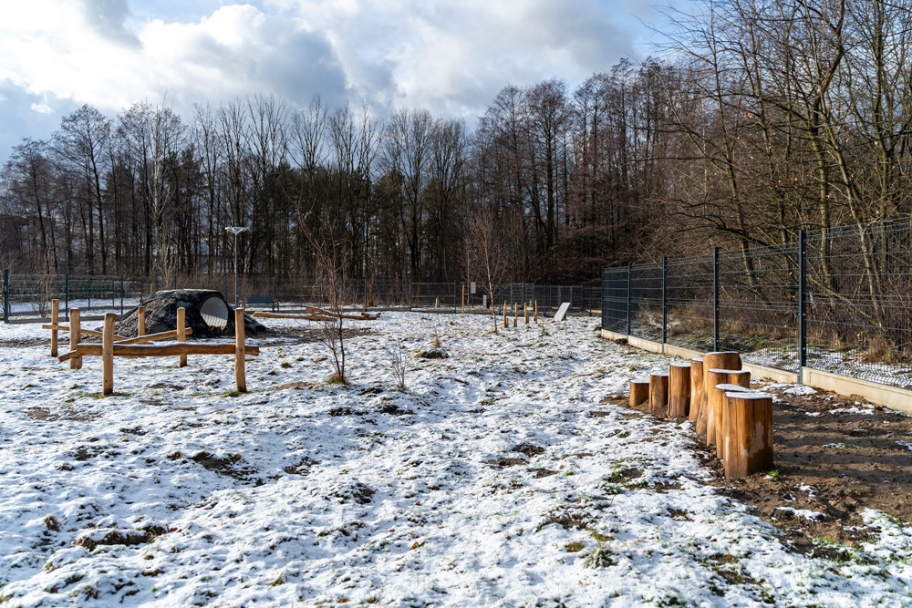 Powstanie nowy pawilon dla kotów w Miejskim Schronisku dla Bezdomnych Zwierząt