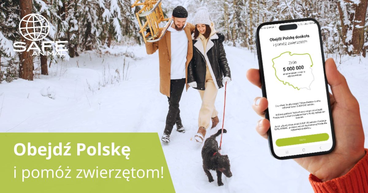 Uwaga aktywni chorzowianie! Licząc kroki możecie pomóc zwierzętom ze schroniska