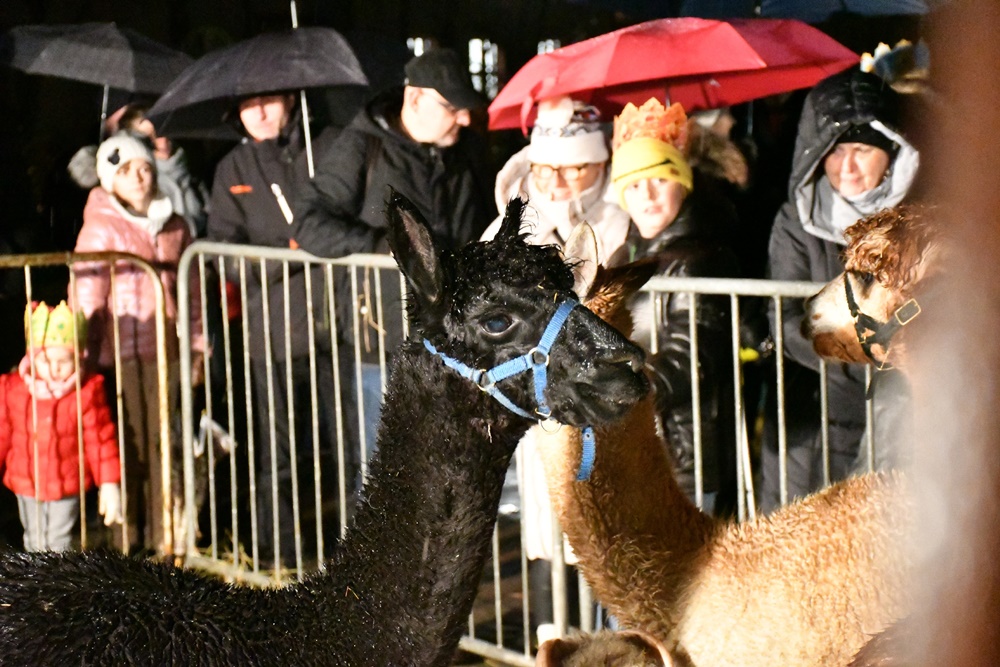 Orszak Trzech Króli w Chorzowie 61