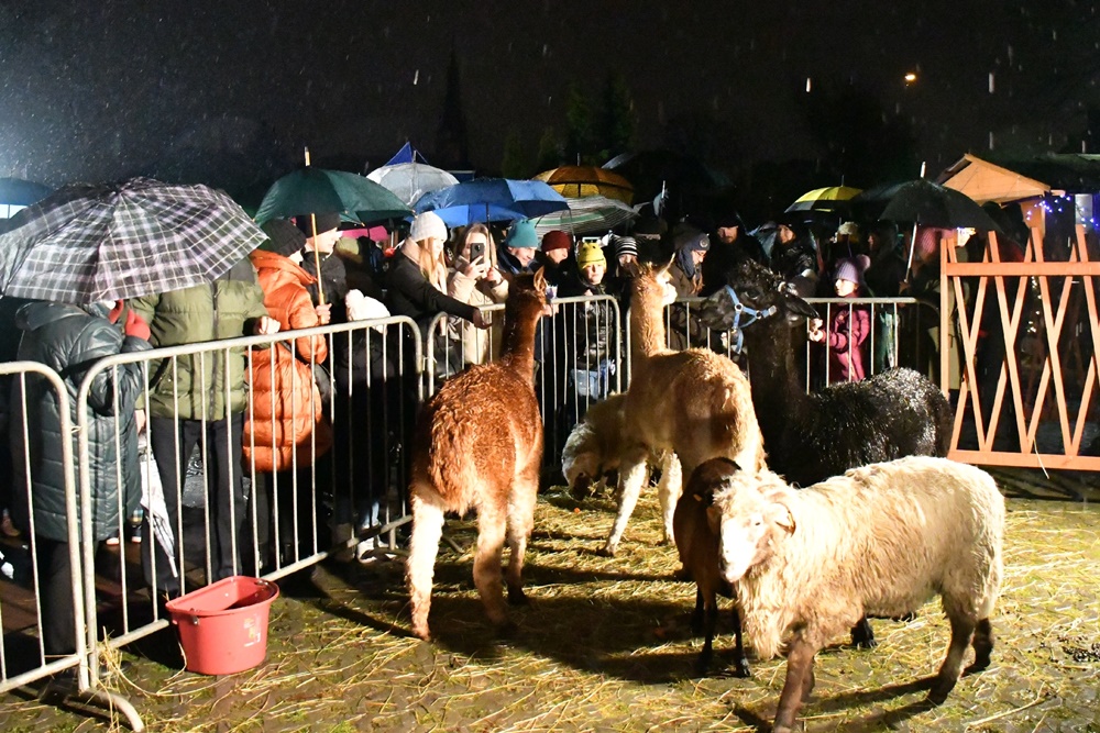 Orszak Trzech Króli w Chorzowie 69