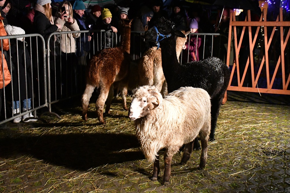 Orszak Trzech Króli w Chorzowie 70