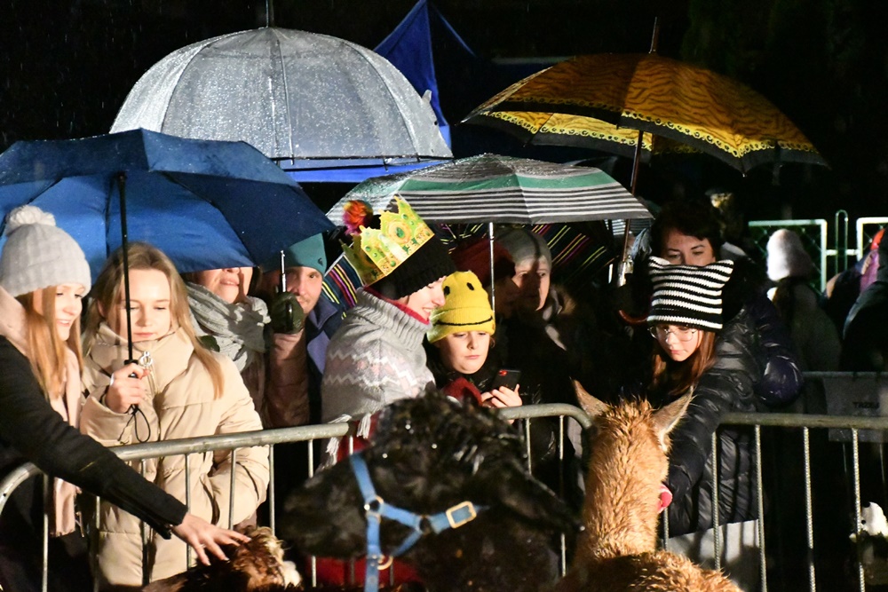 Orszak Trzech Króli w Chorzowie 71