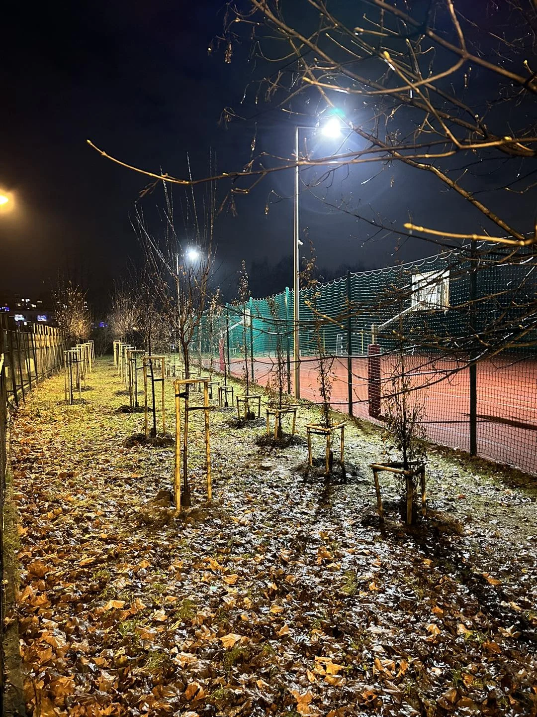 Świętochłowice dbają o środowisko. Prezydent Beger pochwalił się nowymi nasadzeniami