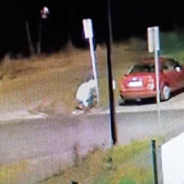 Przywiązał psa do słupa przed schroniskiem i uciekł. Zobacz nagranie z monitoringu