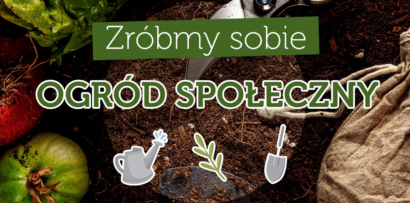 W Rokitnicy powstanie ogród społeczny? [WYWIAD]