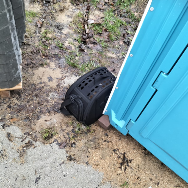 Porzucony kot pod schroniskiem, za ludzką nieodpowiedzialność mógł zapłacić własnym życiem