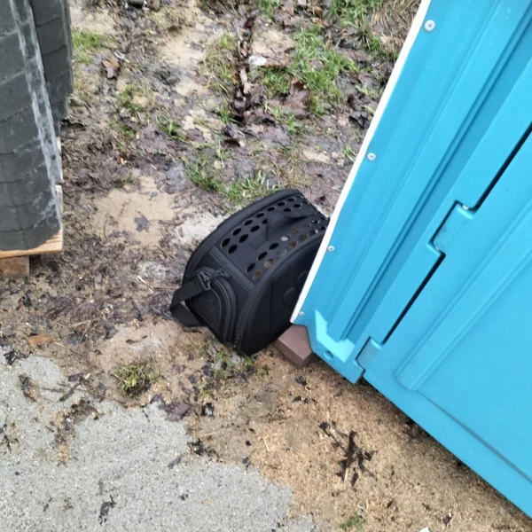 Porzucony kot pod schroniskiem, za ludzką nieodpowiedzialność mógł zapłacić własnym życiem