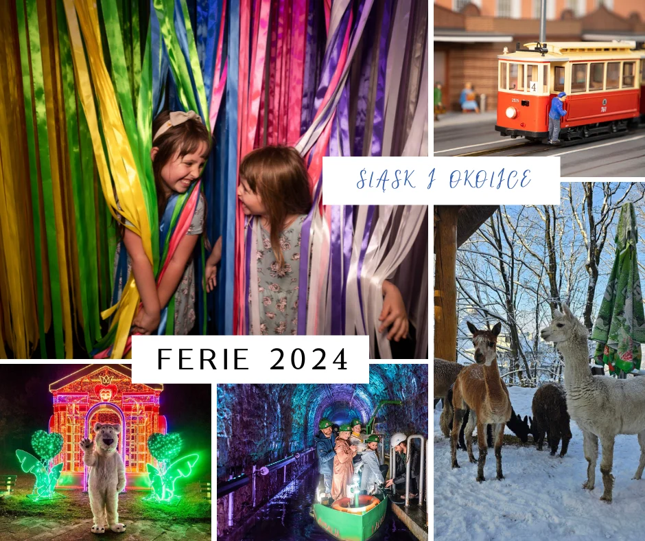 Ferie 2024 w woj. śląskim. Poznaj 10 miejsc, które warto odwiedzić!