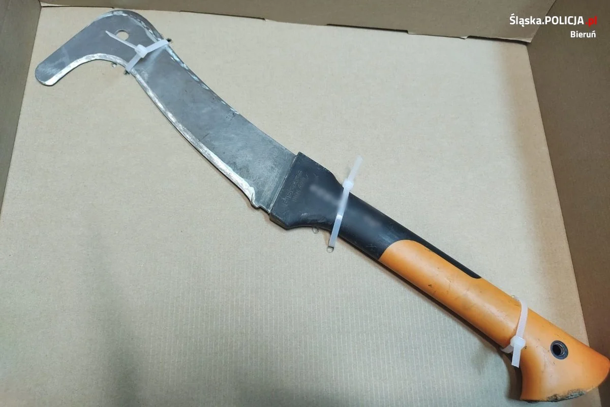 Zaatakował tasakiem swojego 19-letniego znajomego. Mężczyźni pokłócili się... o boczek!