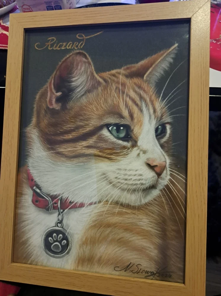 Światowy Dzień Kota 41