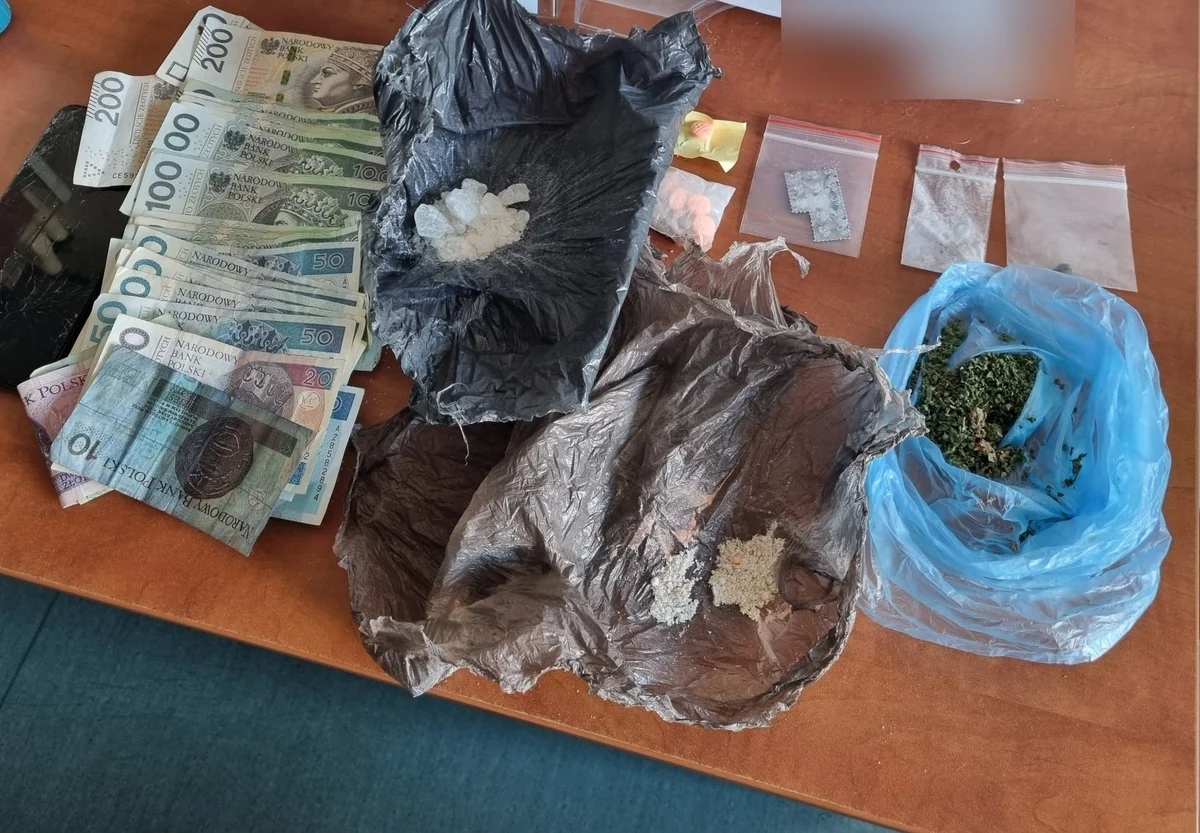 Arsenał narkotyków w mieszkaniu dilera. Zabezpieczono 150 porcji dilerskich i bibułki LSD