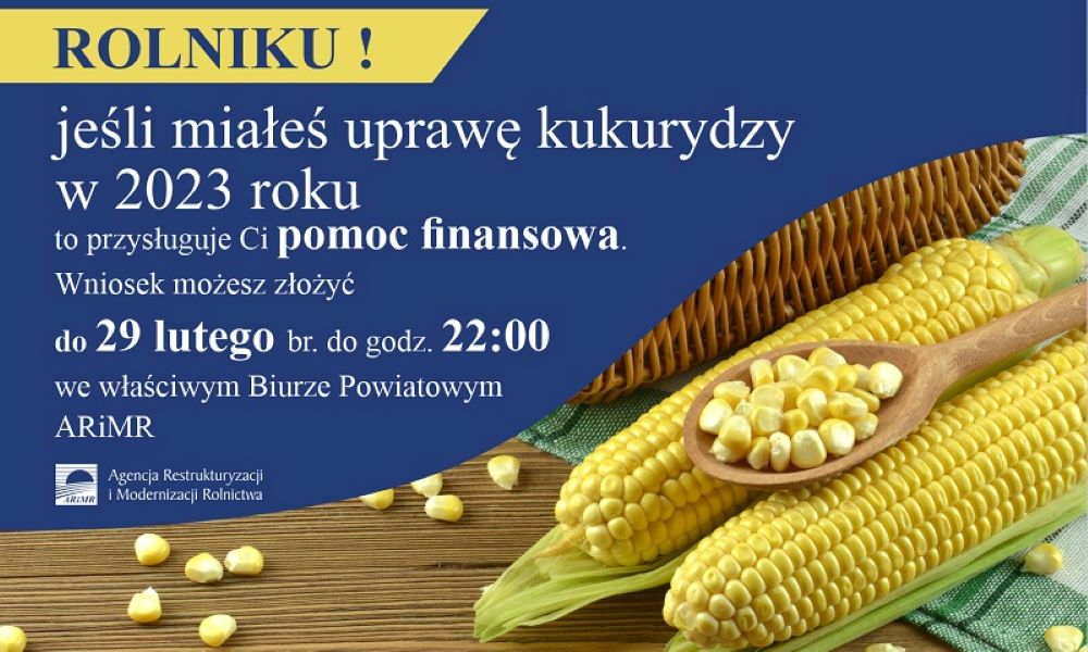 Miałeś uprawy kukurydzy w 2023 roku? Przysługuje Ci pomoc finansowa!