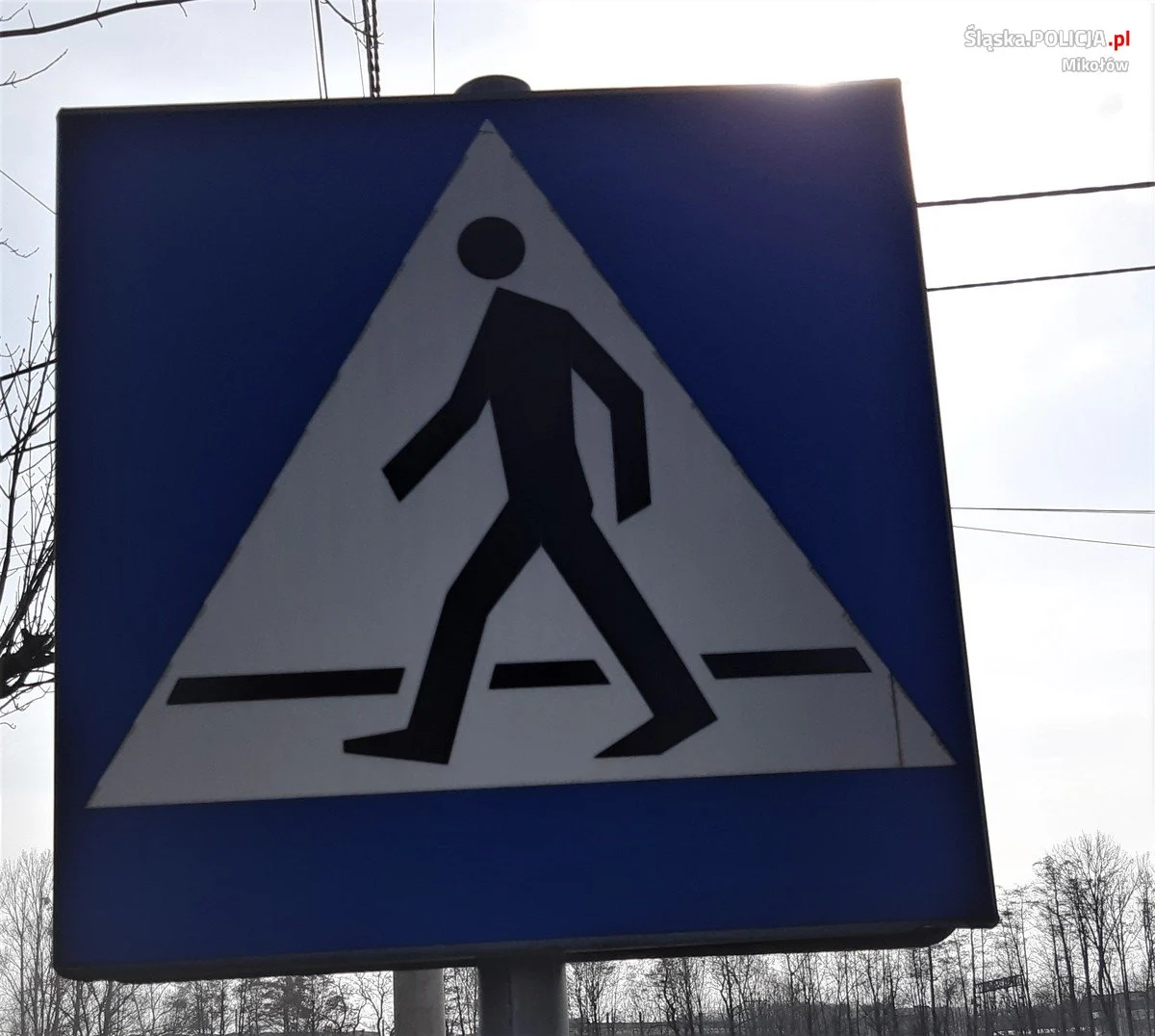 Działania "Bezpieczny pieszy"