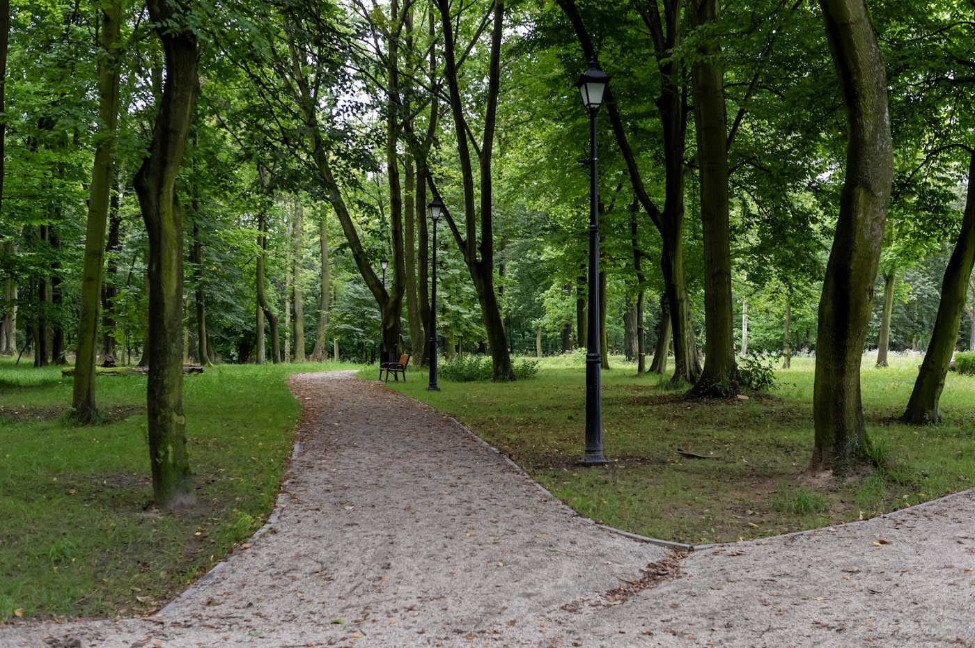 Radni Rady Miejskiej podjęli uchwałę o zmianie nazwy Parku Ludowego