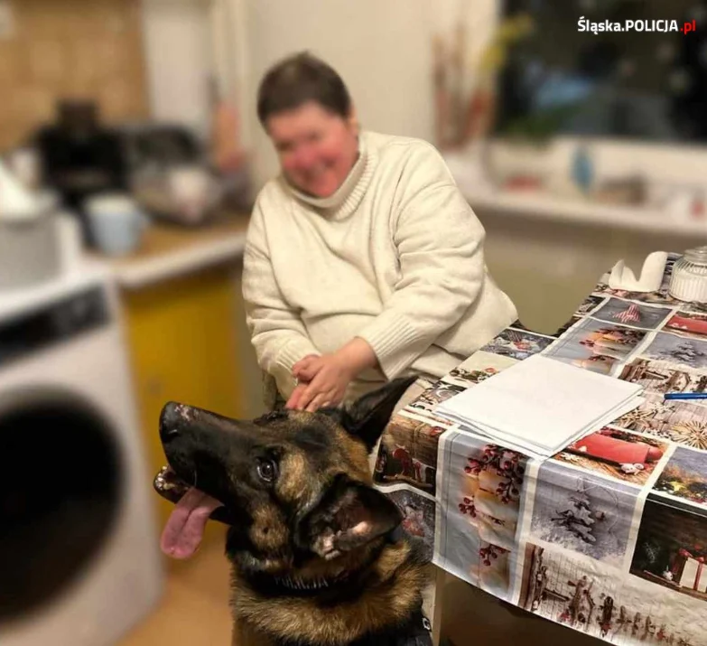 Policyjny tropiciel Logan w akcji. Pies wywęszył zaginioną 44-latkę!