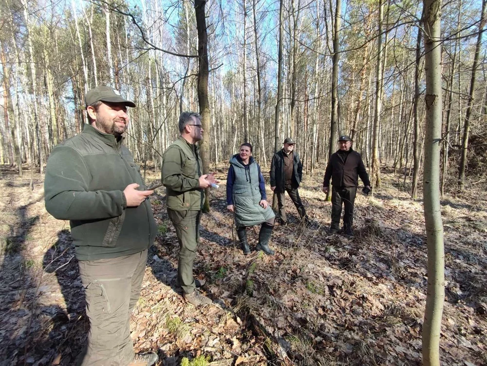Sosnowiec: Ponad 14 ha Lasu Zagórskiego będzie objęte ochroną