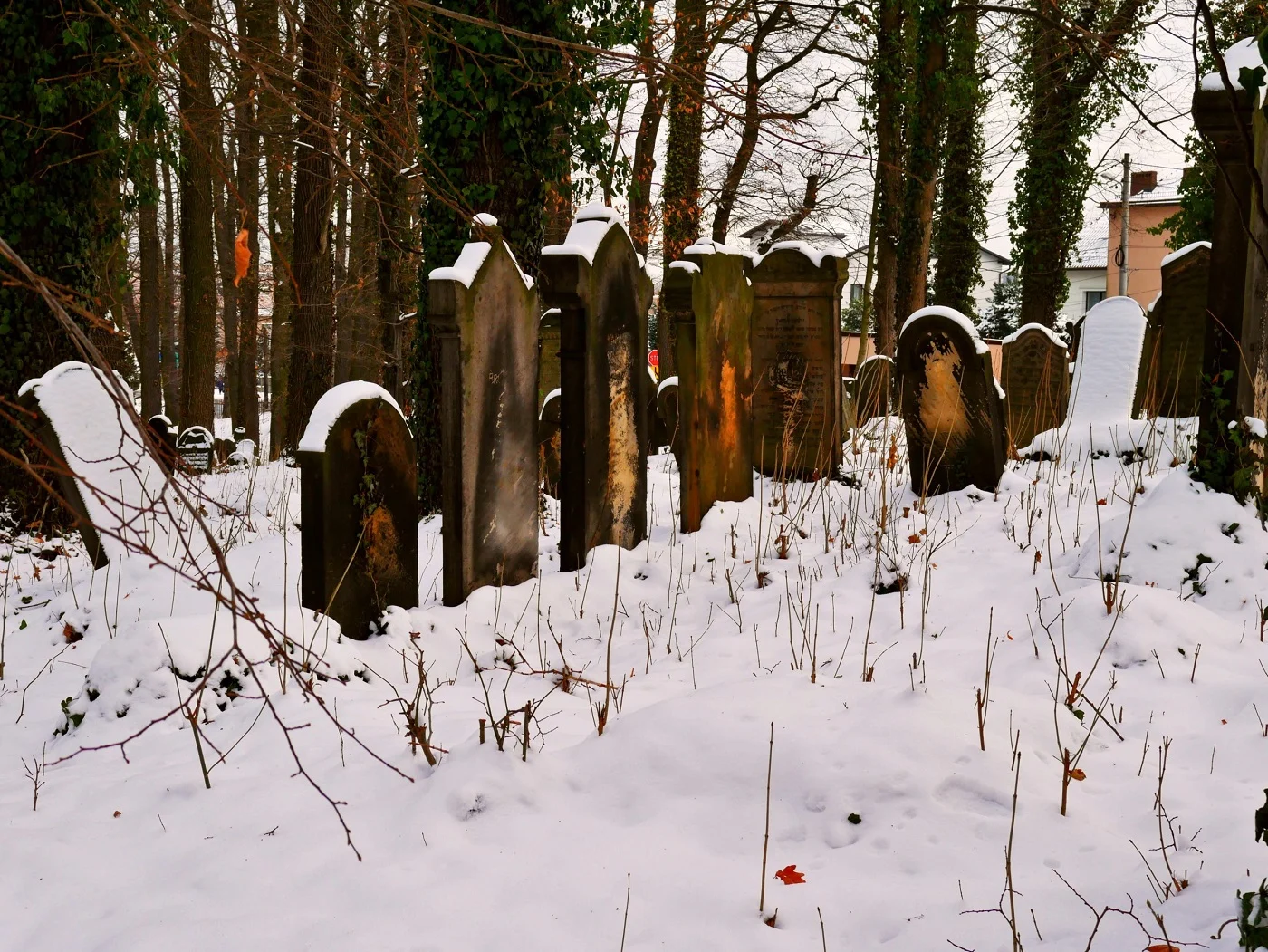 Starostwo otrzymało dofinansowanie z Rządowego Programu Odbudowy Zabytków! [FOTO]
