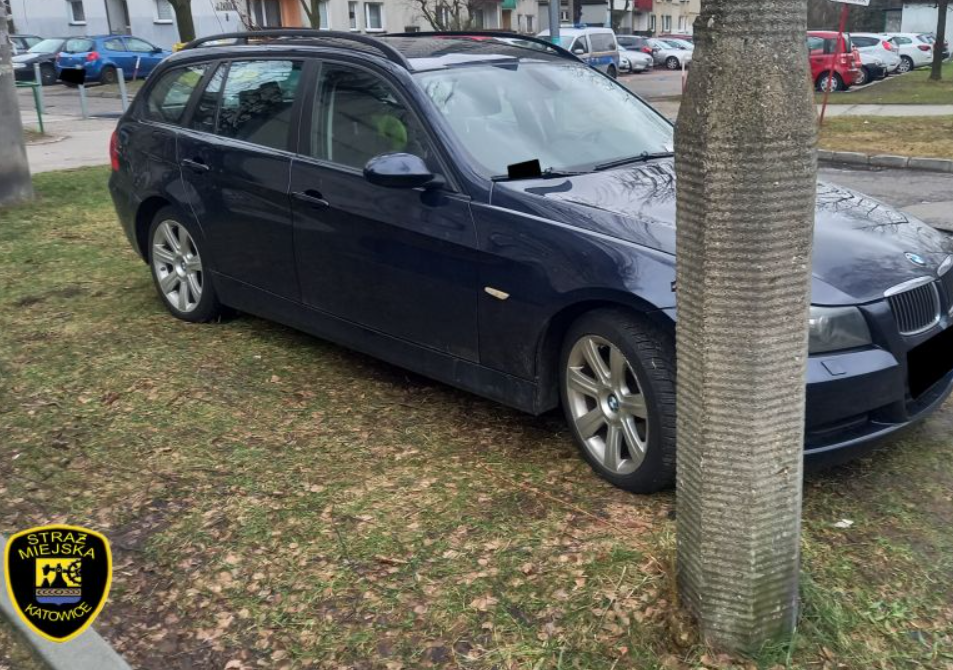 "Wyzwanie: Parkowanie!". Straż Miejska podsumowała katowicką akcję w styczniu