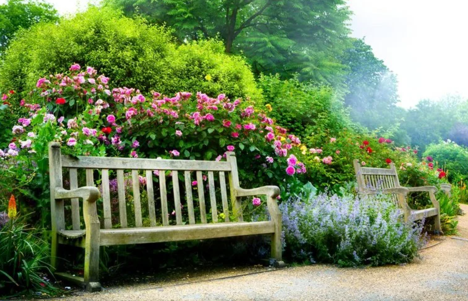 Zmieniaj swoje otoczenie dzięki Zielonej Ławeczce! Startuje projekt grantowy