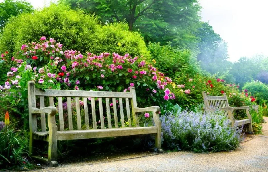 Zmieniaj swoje otoczenie dzięki Zielonej Ławeczce! Startuje projekt grantowy