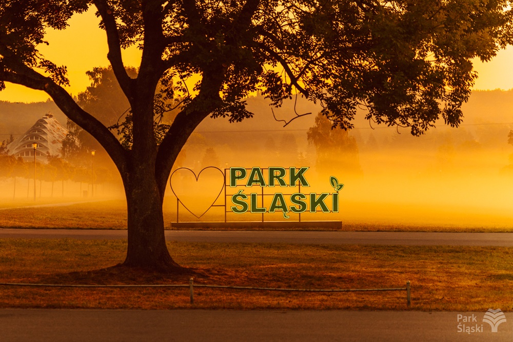 Trwają zgłoszenia do konkursu fotograficznego "Cztery Pory w Parku Śląskim"