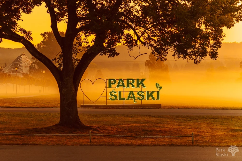 Trwają zgłoszenia do konkursu fotograficznego "Cztery Pory w Parku Śląskim"