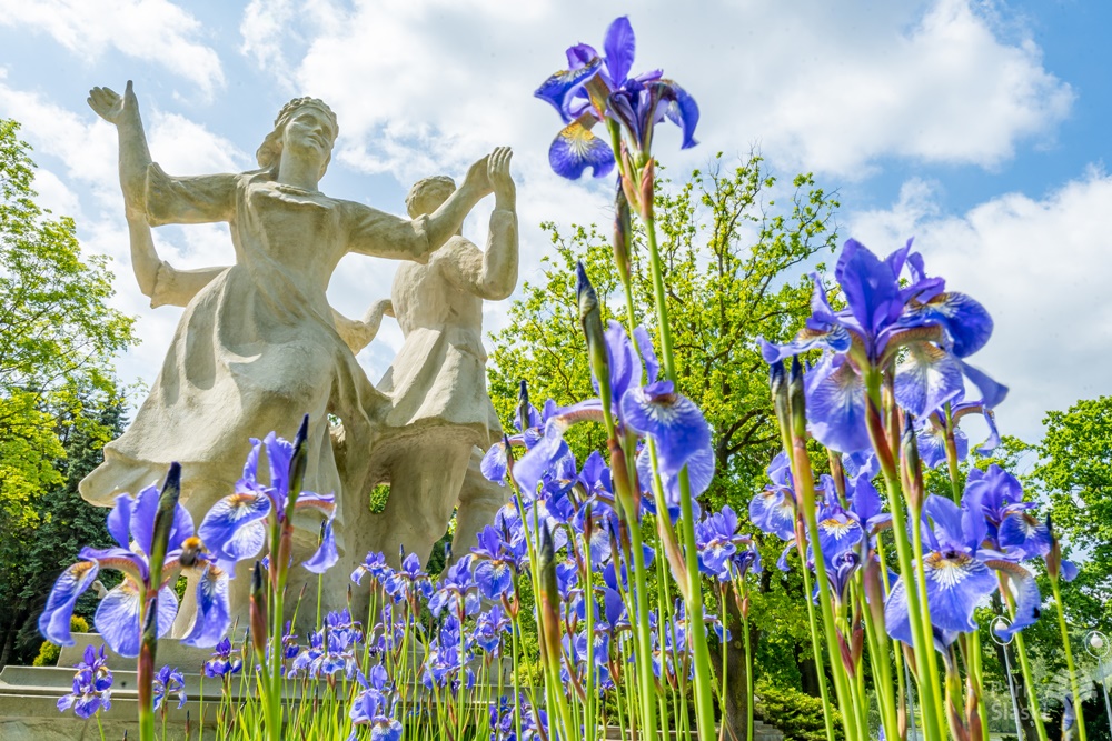 Trwają zgłoszenia do konkursu fotograficznego "Cztery Pory w Parku Śląskim"