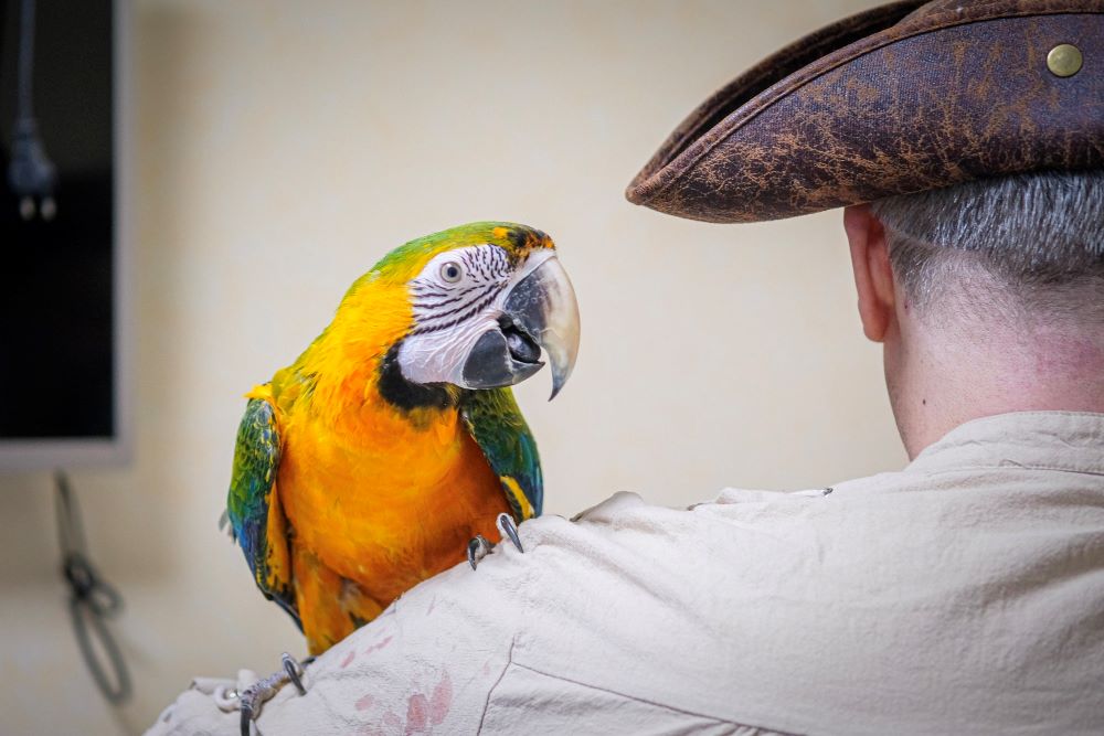 Papugoterapia w Zespole Szpitali Miejskich!