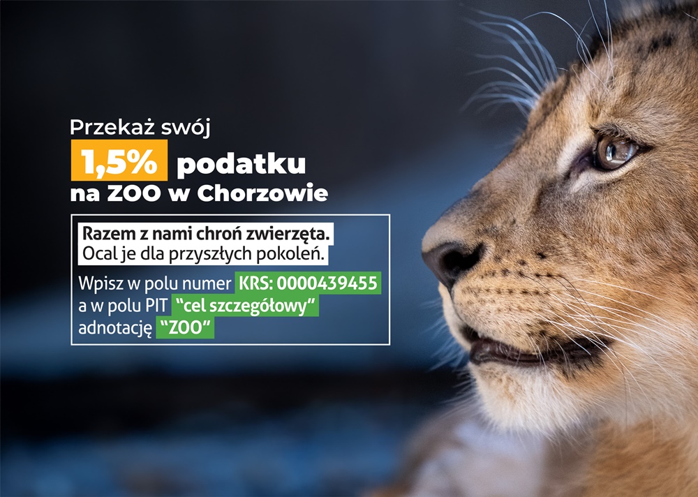 Chroń chorzowskie zwierzęta. Śląski Ogród Zoologiczny zachęca do przekazania 1,5 % podatku