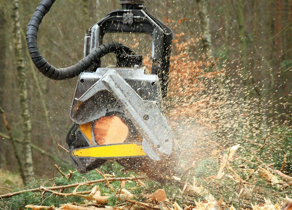 Rodzaje pelletu. Jak wybrać najlepszy dla Twojego domu?