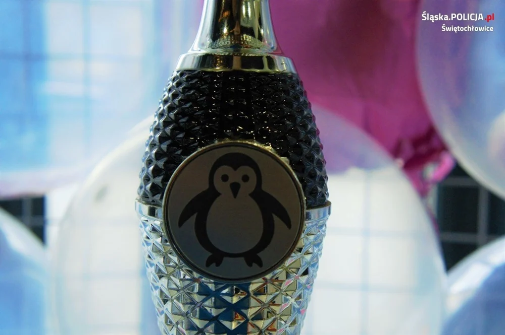 "Pingwinkowe zawody" w Świętochłowicach. Zobacz, co się działo!