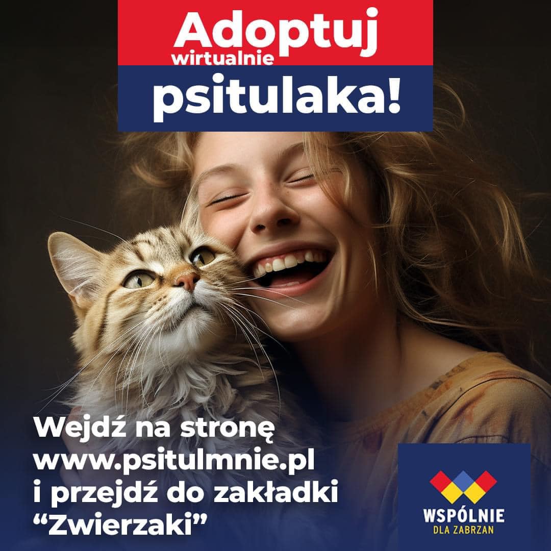 Adoptuj wirtualnie zwierzaka z zabrzańskiego schroniska!