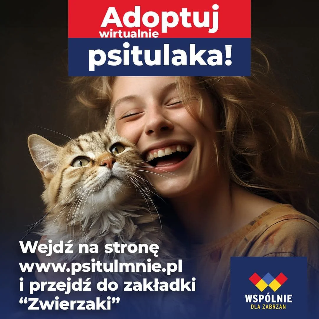 Adoptuj wirtualnie zwierzaka z zabrzańskiego schroniska!