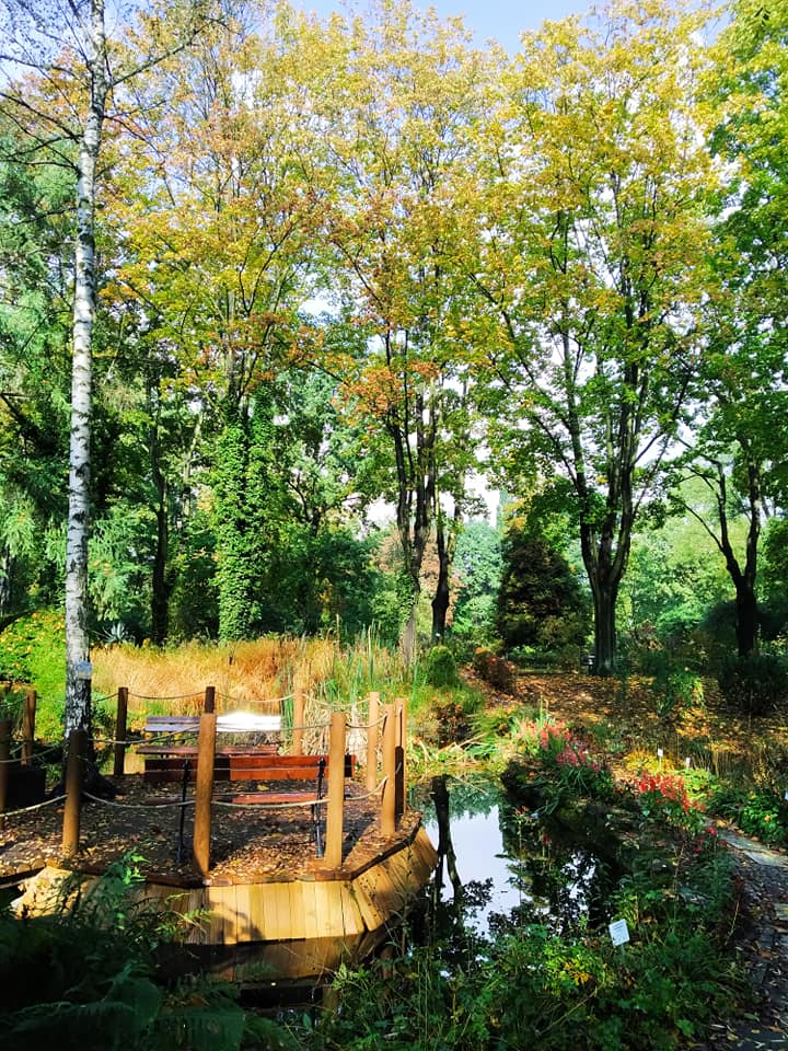 Miejski Ogród Botaniczny w Zabrzu zyska nowe oblicze!
