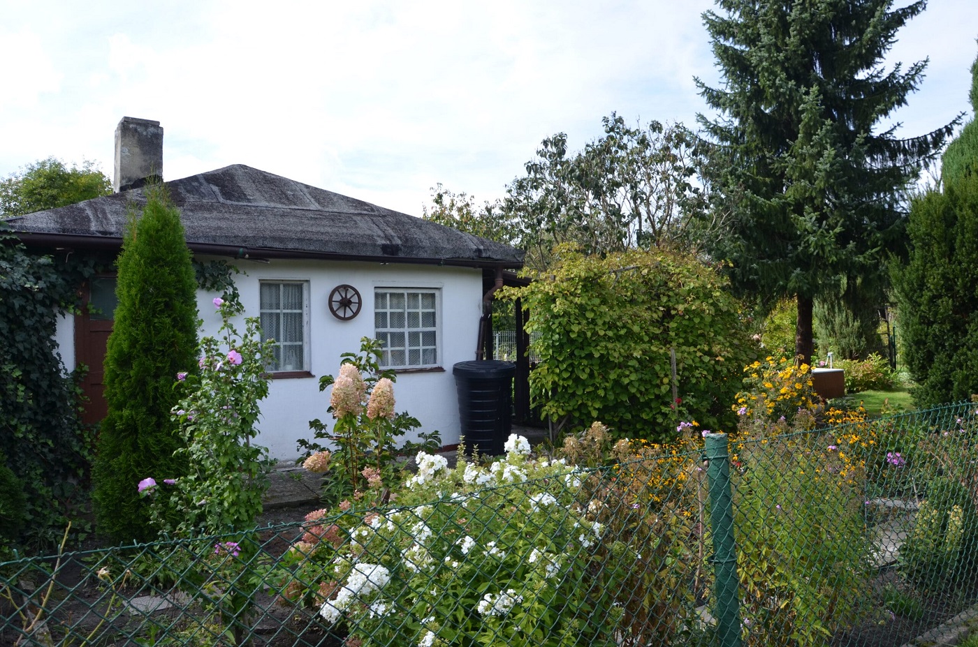 W Zabrzu powstaną nowe ogrody działkowe