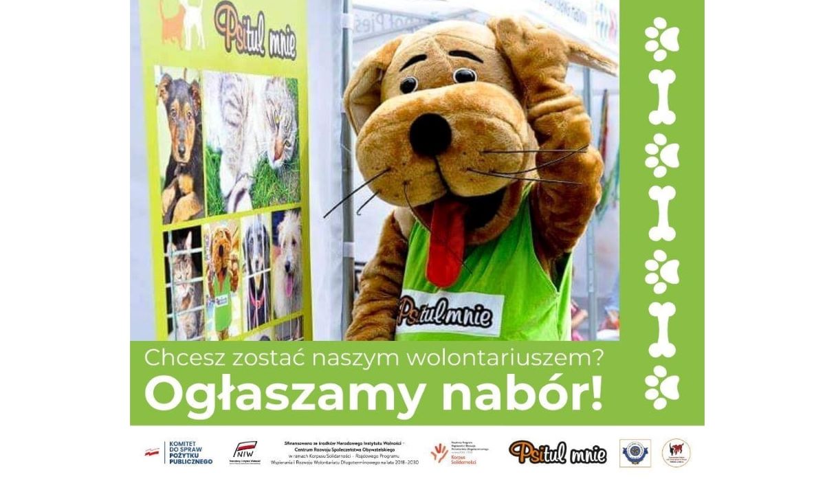 Zabrzańskie schronisko Psitulmnie poszukuje nowych wolontariuszy! Sprawdźcie szczegóły