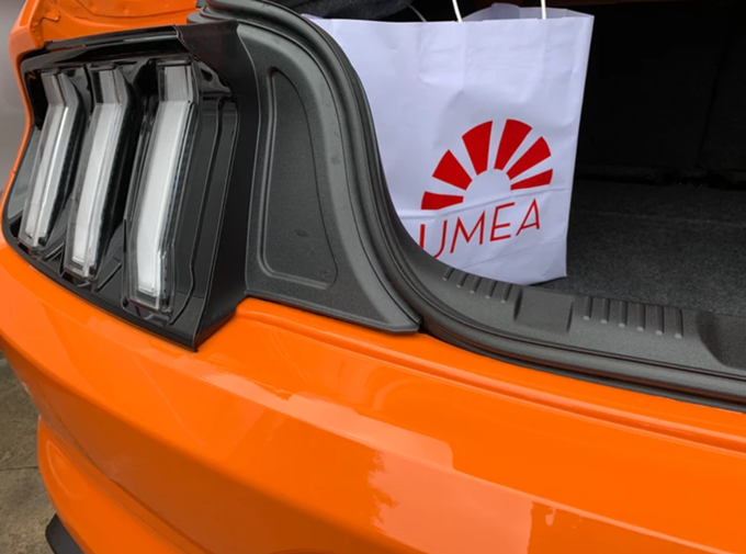 UMEA - pranie tapicerki