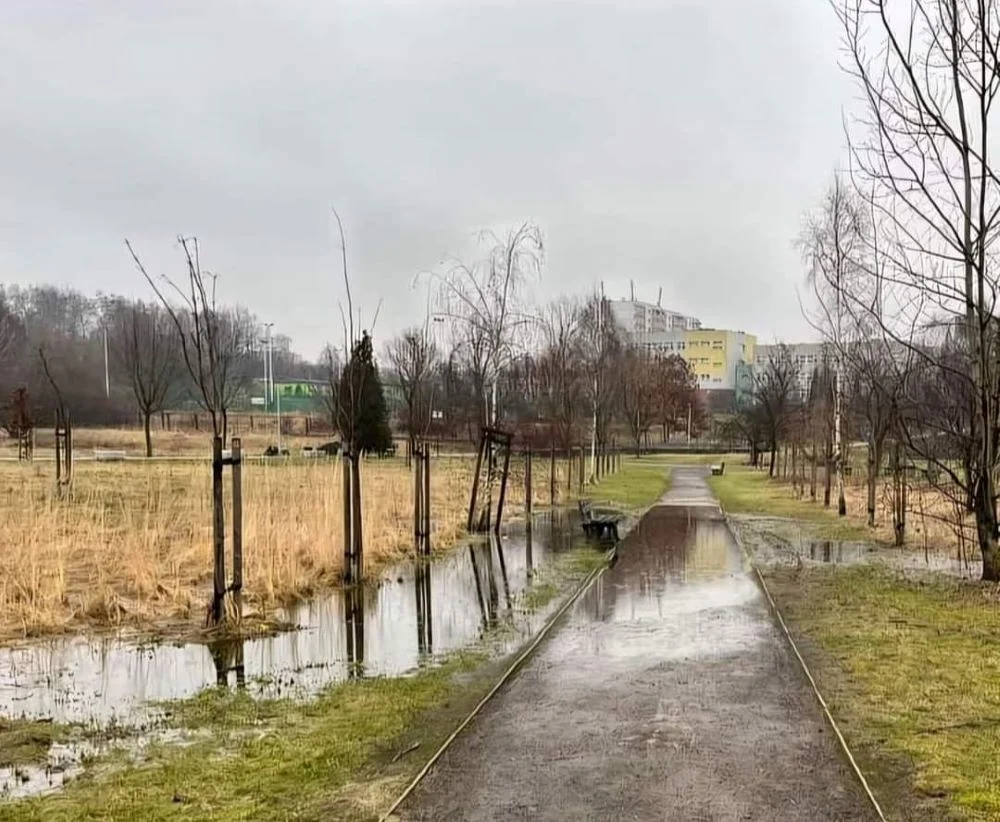 Zalanie alei przy ul. Zgrzebnioka w Bykowinie. Czy da się coś z tym zrobić?