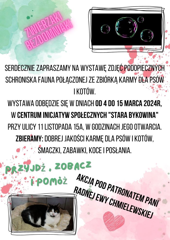 Uczennice III LO organizują zbiórkę dla zwierzaków z „Fauny”!