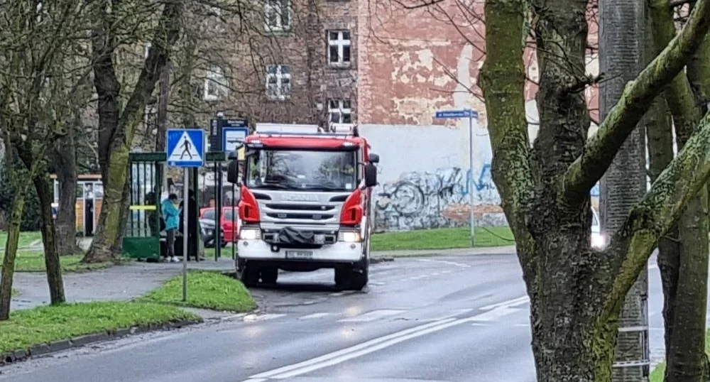 Ułamany konar drzewa na Wirku. To efekt weekendowych wichur