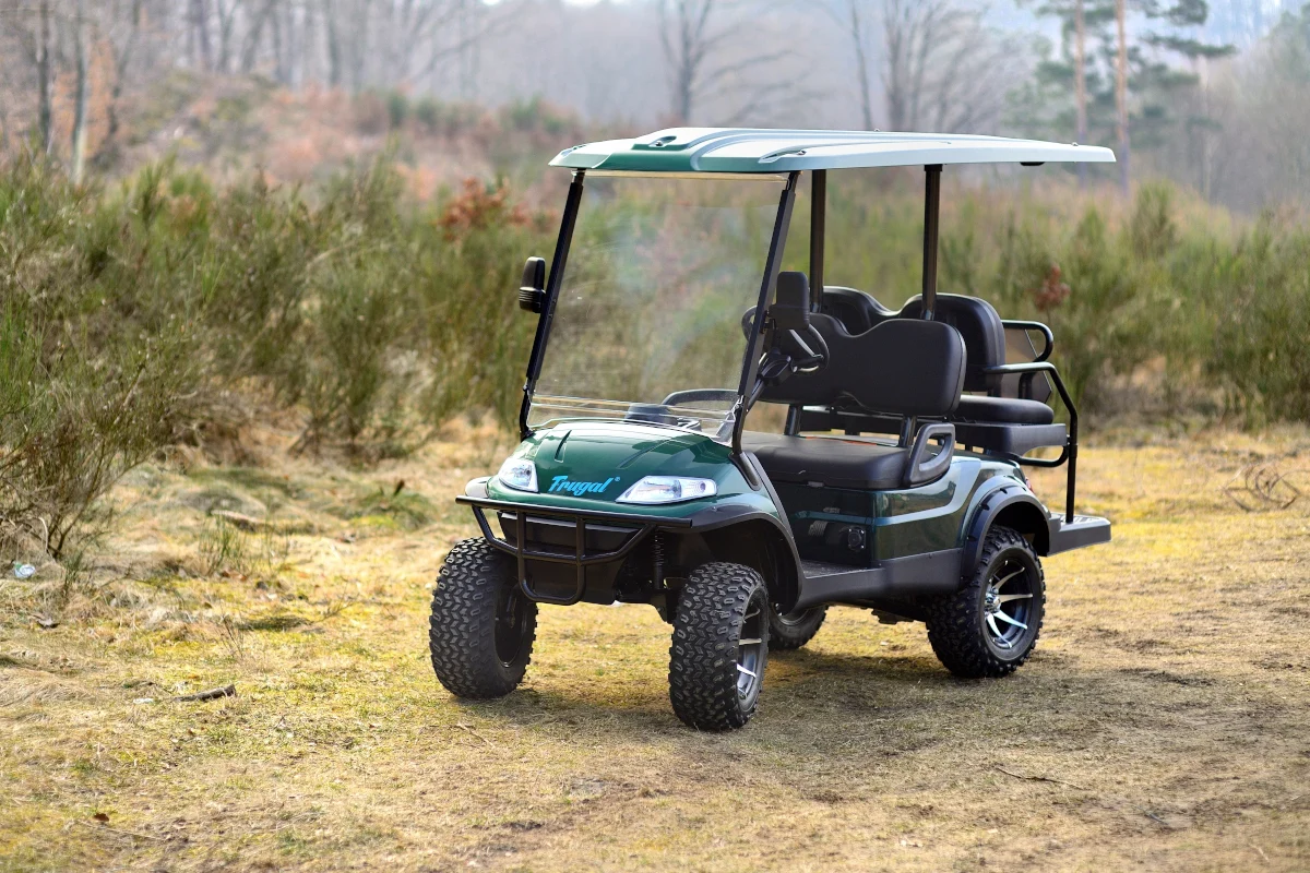 Pojazdy elektryczne o szerokim zastosowaniu