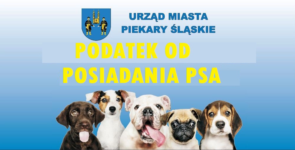 Jesteś właścicielem psa? Pamiętaj o podatku!