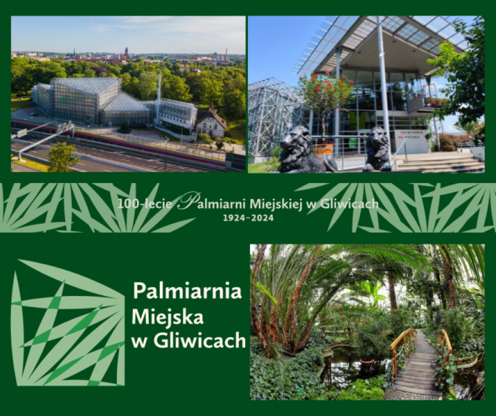 Gliwicka Palmiarnia obchodzi setne urodziny!
