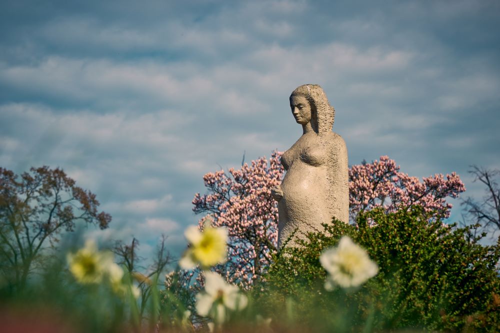 Piękno wiosny w przestrzeni miejskiej Gliwic