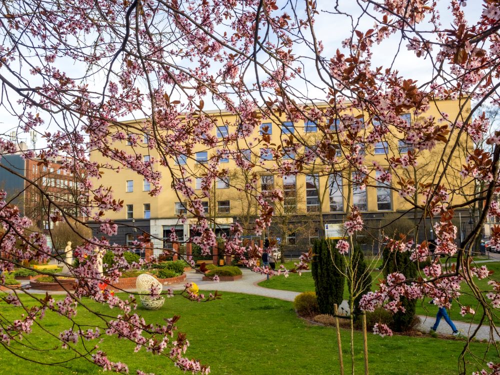 Piękno wiosny w przestrzeni miejskiej Gliwic