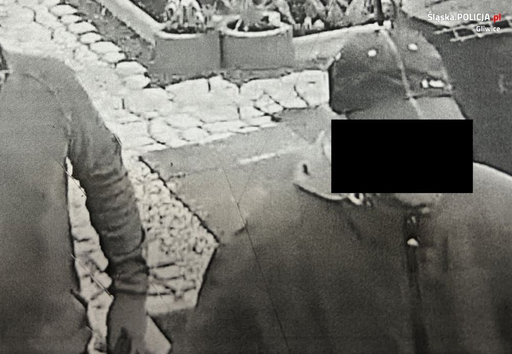 Próbował okraść działkowców, nie spodziewał się kamery i szybkiej reakcji