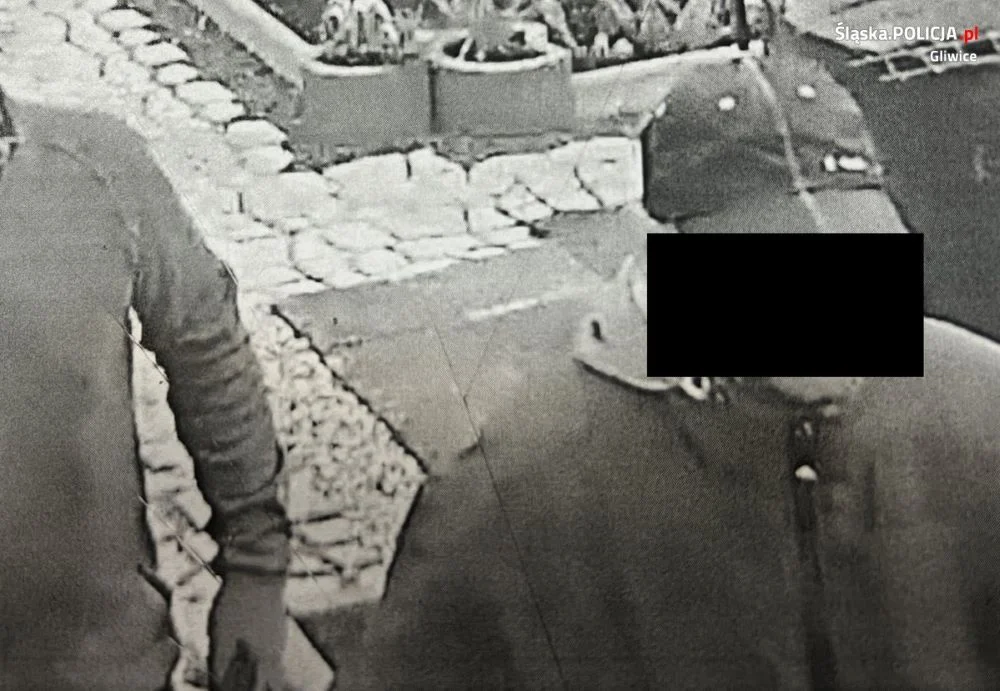 Próbował okraść działkowców, nie spodziewał się kamery i szybkiej reakcji