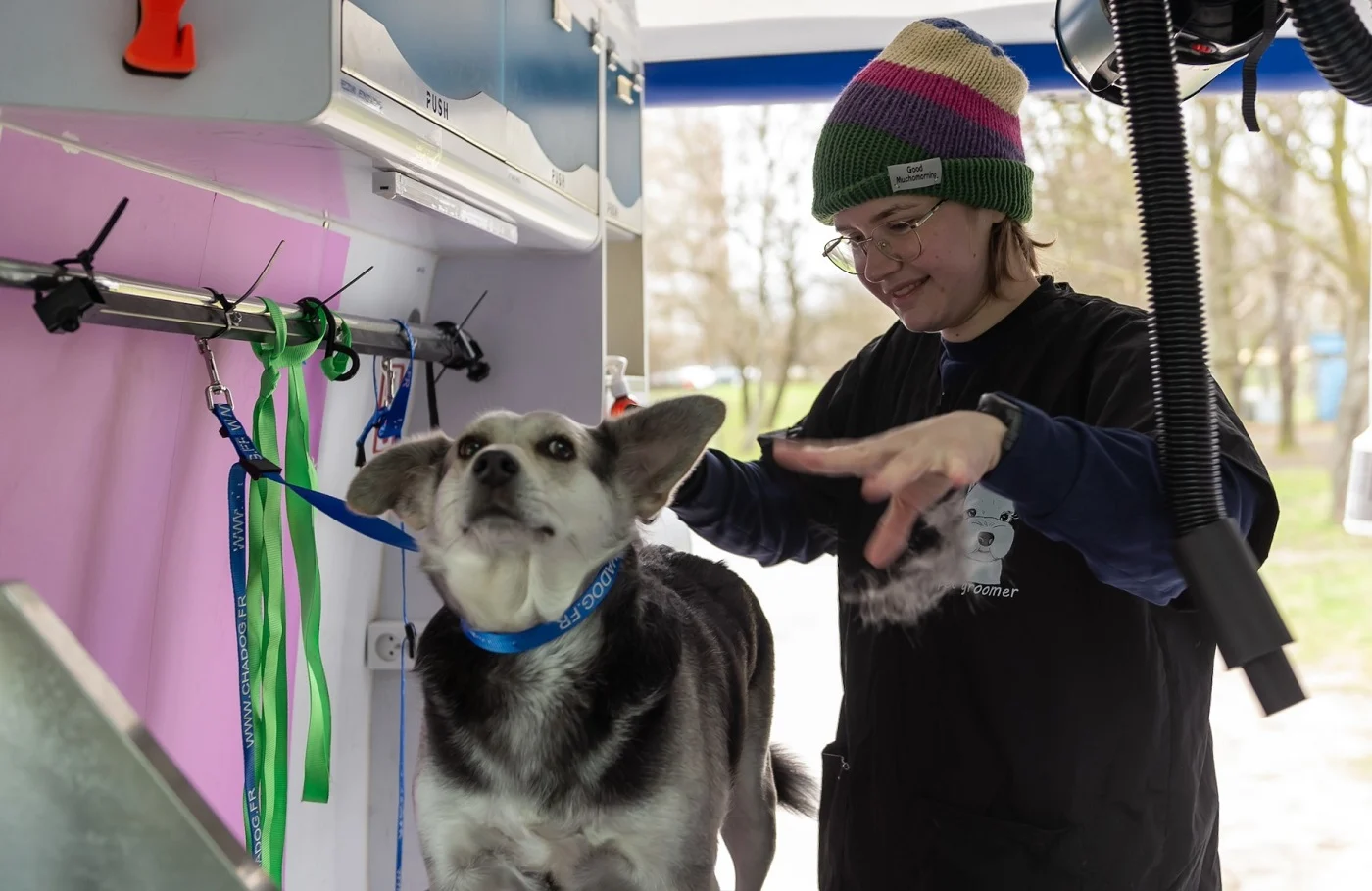 Bytom: Była karetka – jest mobilny salon groomerski! [FOTO]